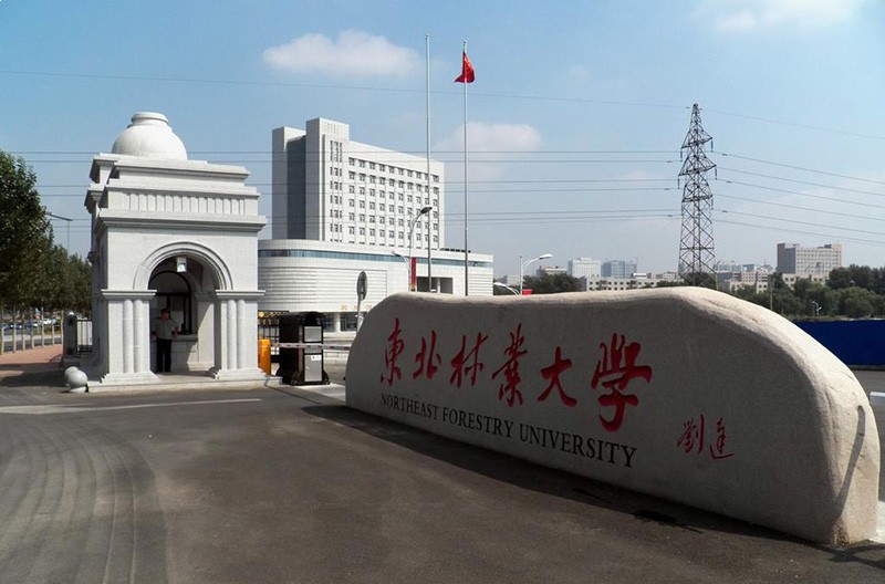 東北林業(yè)大學(xué)